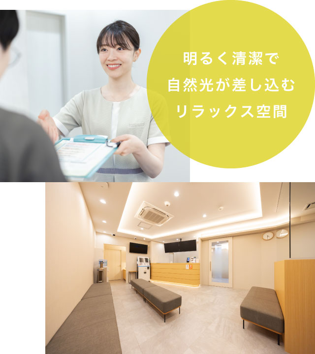 明るく清潔で自然光が差し込むリラックス空間